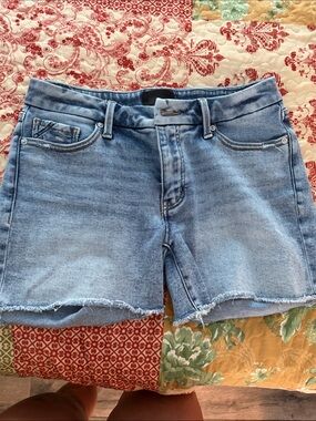 BKE Light Blue Denim Cutoff Shorts